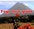 Fogo tour guide